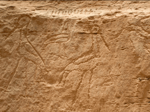 Les chercheurs annoncent la découverte de la  falaise aux hiéroglyphes