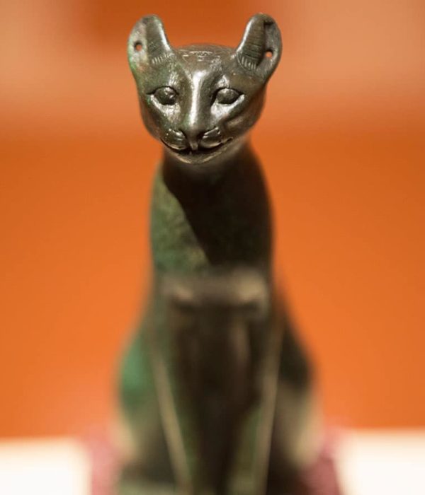 Le Chat d'Egypte - Actautalie ..